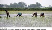 Filename=app51-230721sialkot.jpg
Filesize=211KiB
Dimensions=1200x704
Date added=Jul 23, 2021 app51-230721sialkot.jpg