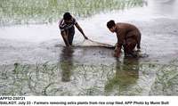 Filename=app52-230721sialkot.jpg
Filesize=262KiB
Dimensions=1200x715
Date added=Jul 23, 2021 app52-230721sialkot.jpg