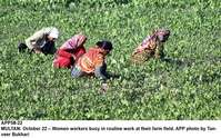 Filename=app58-22multan.jpg
Filesize=358KiB
Dimensions=1200x747
Date added=Oct 22, 2020 app58-22multan.jpg