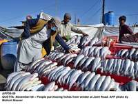 Filename=app59-09quetta.jpg
Filesize=248KiB
Dimensions=1200x913
Date added=Nov 09, 2020 app59-09quetta.jpg