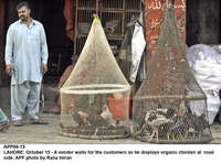 Filename=app66-15lahore~0.jpg
Filesize=401KiB
Dimensions=1200x890
Date added=Oct 15, 2020 app66-15lahore~0.jpg