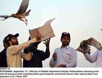 Filename=app67-15peshawar.jpg
Filesize=127KiB
Dimensions=1200x918
Date added=Sep 15, 2020 app67-15peshawar.jpg