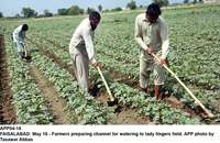 Filename=APP04-16Faisalabad.jpg
Filesize=381KiB
Dimensions=1200x780
Date added=May 16, 2020 APP04-16Faisalabad.jpg