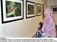 Filename=APP08-25Islamabad.jpg
Filesize=145KiB
Dimensions=1000x739
Date added=Mar 26, 2018 APP08-25Islamabad.jpg