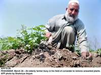 Filename=APP10-26Peshawar.jpg
Filesize=170KiB
Dimensions=1000x739
Date added=Mar 26, 2018 APP10-26Peshawar.jpg