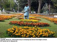Filename=APP12-21Lahore.jpg
Filesize=292KiB
Dimensions=1000x741
Date added=Mar 21, 2018 APP12-21Lahore.jpg