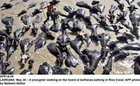 Filename=APP14-30Larkana~0.jpg
Filesize=222KiB
Dimensions=1200x739
Date added=May 30, 2020 APP14-30Larkana~0.jpg