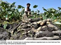 Filename=APP15-25Larkana.jpg
Filesize=231KiB
Dimensions=1200x900
Date added=Jun 25, 2020 APP15-25Larkana.jpg