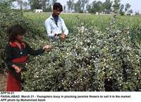 Filename=APP16-21Faisalabad.jpg
Filesize=286KiB
Dimensions=1000x725
Date added=Mar 21, 2018 APP16-21Faisalabad.jpg