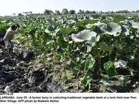 Filename=APP16-25Larkana.jpg
Filesize=303KiB
Dimensions=1200x897
Date added=Jun 25, 2020 APP16-25Larkana.jpg