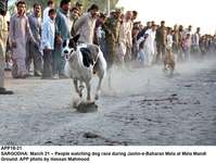 Filename=APP18-21Sargodha.jpg
Filesize=164KiB
Dimensions=1000x753
Date added=Mar 21, 2018 APP18-21Sargodha.jpg
