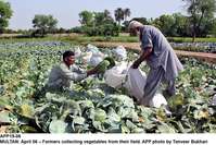 Filename=APP19-06Multan.jpg
Filesize=243KiB
Dimensions=1000x667
Date added=Apr 06, 2018 APP19-06Multan.jpg