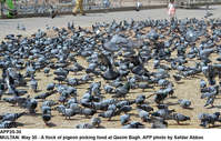 Filename=APP20-30Multan.jpg
Filesize=385KiB
Dimensions=1200x766
Date added=May 30, 2020 APP20-30Multan.jpg