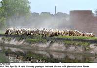 Filename=APP22-08Multan.jpg
Filesize=201KiB
Dimensions=1000x703
Date added=Apr 08, 2018 APP22-08Multan.jpg