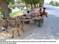 Filename=APP23-08Multan.jpg
Filesize=204KiB
Dimensions=1000x743
Date added=Apr 08, 2018 APP23-08Multan.jpg