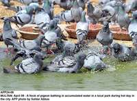 Filename=APP24-08Multan.jpg
Filesize=226KiB
Dimensions=1000x741
Date added=Apr 08, 2018 APP24-08Multan.jpg