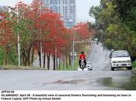 Filename=APP25-08Islamabad.jpg
Filesize=244KiB
Dimensions=1000x743
Date added=Apr 08, 2018 APP25-08Islamabad.jpg