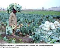 Filename=APP26-21Peshawar.jpg
Filesize=249KiB
Dimensions=1000x805
Date added=Mar 21, 2018 APP26-21Peshawar.jpg