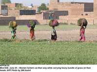 Filename=APP26-25Multan~3.jpg
Filesize=223KiB
Dimensions=1200x891
Date added=Jun 25, 2020 APP26-25Multan~3.jpg