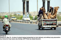Filename=APP28-16Karachi~0.jpg
Filesize=250KiB
Dimensions=1200x789
Date added=May 16, 2020 APP28-16Karachi~0.jpg
