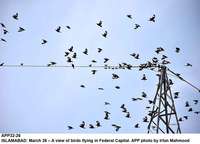 Filename=APP32-26Islamabad.jpg
Filesize=103KiB
Dimensions=1000x720
Date added=Mar 26, 2018 APP32-26Islamabad.jpg