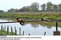 Filename=APP35-08Sargodha.jpg
Filesize=154KiB
Dimensions=1000x661
Date added=Apr 08, 2018 APP35-08Sargodha.jpg