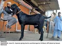 Filename=APP35-25Sargodha~0.jpg
Filesize=188KiB
Dimensions=1200x896
Date added=Jun 25, 2020 APP35-25Sargodha~0.jpg