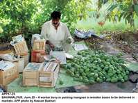 Filename=APP37-25Bahawalpur.jpg
Filesize=254KiB
Dimensions=1200x893
Date added=Jun 25, 2020 APP37-25Bahawalpur.jpg