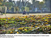 Filename=APP37-25Islamabad~4.jpg
Filesize=491KiB
Dimensions=1200x893
Date added=Feb 25, 2020 APP37-25Islamabad~4.jpg