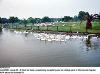 Filename=APP38-25Lahore~2.jpg
Filesize=210KiB
Dimensions=1200x885
Date added=Jun 25, 2020 APP38-25Lahore~2.jpg