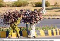 Filename=Pic01-023~28.jpg
Filesize=382KiB
Dimensions=2047x1398
Date added=Nov 01, 2020 Pic01-023~28.jpg