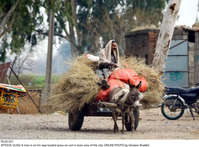 Filename=Pic02-021~27.jpg
Filesize=409KiB
Dimensions=2047x1512
Date added=Oct 02, 2020 Pic02-021~27.jpg