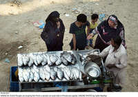 Filename=Pic03-031~30.jpg
Filesize=430KiB
Dimensions=2047x1444
Date added=Oct 03, 2020 Pic03-031~30.jpg