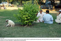 Filename=Pic05-058~25.jpg
Filesize=426KiB
Dimensions=2047x1386
Date added=Oct 05, 2020 Pic05-058~25.jpg