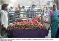 Filename=Pic05-061~21.jpg
Filesize=294KiB
Dimensions=2047x1421
Date added=Oct 05, 2020 Pic05-061~21.jpg