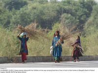Filename=Pic08-017~29.jpg
Filesize=462KiB
Dimensions=2047x1539
Date added=Oct 08, 2020 Pic08-017~29.jpg