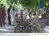 Filename=Pic11-028~33.jpg
Filesize=525KiB
Dimensions=2048x1495
Date added=May 11, 2021 Pic11-028~33.jpg