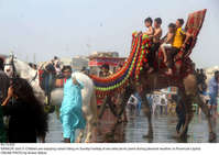 Filename=Pic13-035~35.jpg
Filesize=290KiB
Dimensions=2047x1450
Date added=Jun 13, 2021 Pic13-035~35.jpg