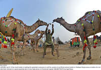 Filename=Pic15-010~37.jpg
Filesize=414KiB
Dimensions=2048x1436
Date added=Jul 15, 2021 Pic15-010~37.jpg
