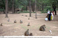 Filename=Pic15-028~35.jpg
Filesize=467KiB
Dimensions=2047x1332
Date added=Jul 15, 2021 Pic15-028~35.jpg