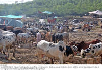 Filename=Pic15-031~37.jpg
Filesize=542KiB
Dimensions=2048x1406
Date added=Jul 15, 2021 Pic15-031~37.jpg