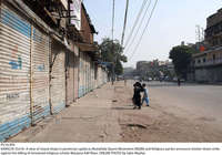 Filename=Pic16-005~27.jpg
Filesize=511KiB
Dimensions=2048x1435
Date added=Oct 16, 2020 Pic16-005~27.jpg