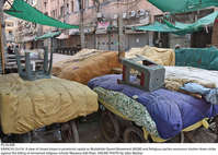 Filename=Pic16-008~27.jpg
Filesize=517KiB
Dimensions=2047x1461
Date added=Oct 16, 2020 Pic16-008~27.jpg