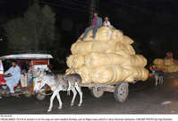 Filename=Pic16-016~26.jpg
Filesize=253KiB
Dimensions=2047x1387
Date added=Oct 16, 2020 Pic16-016~26.jpg