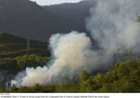 Filename=Pic17-053~31.jpg
Filesize=225KiB
Dimensions=2047x1439
Date added=May 17, 2021 Pic17-053~31.jpg