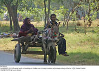 Filename=Pic19-014~28.jpg
Filesize=473KiB
Dimensions=2048x1466
Date added=Oct 19, 2020 Pic19-014~28.jpg