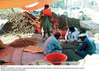 Filename=Pic20-048~28.jpg
Filesize=599KiB
Dimensions=2047x1498
Date added=Oct 20, 2020 Pic20-048~28.jpg