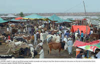 Filename=Pic20-067~21.jpg
Filesize=451KiB
Dimensions=2047x1321
Date added=Jul 20, 2021 Pic20-067~21.jpg