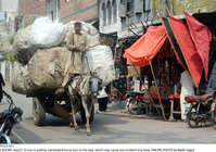 Filename=Pic22-021~25.jpg
Filesize=446KiB
Dimensions=2047x1441
Date added=Sep 22, 2020 Pic22-021~25.jpg