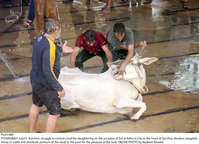 Filename=Pic23-082~12.jpg
Filesize=324KiB
Dimensions=2047x1479
Date added=Jul 23, 2021 Pic23-082~12.jpg